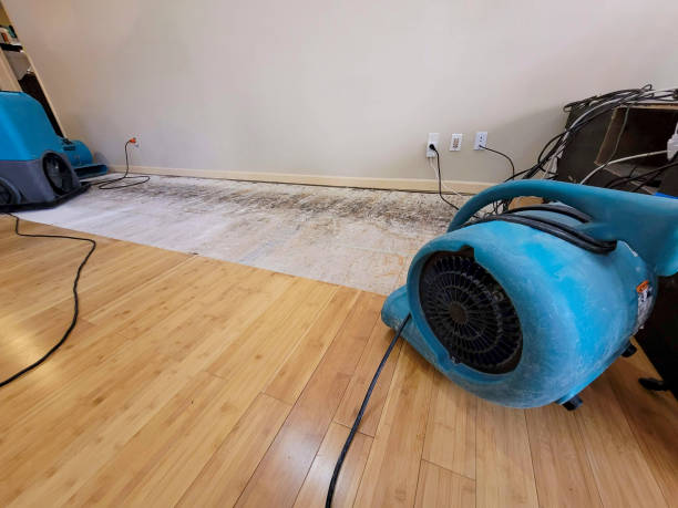 Professional Flood Damage Cleanup technician working in Piedmont, MO